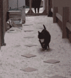 熊猫体育app官网-冬季雪地摩托竞速，激情燃烧在北国边疆，雪地摩托赛事
