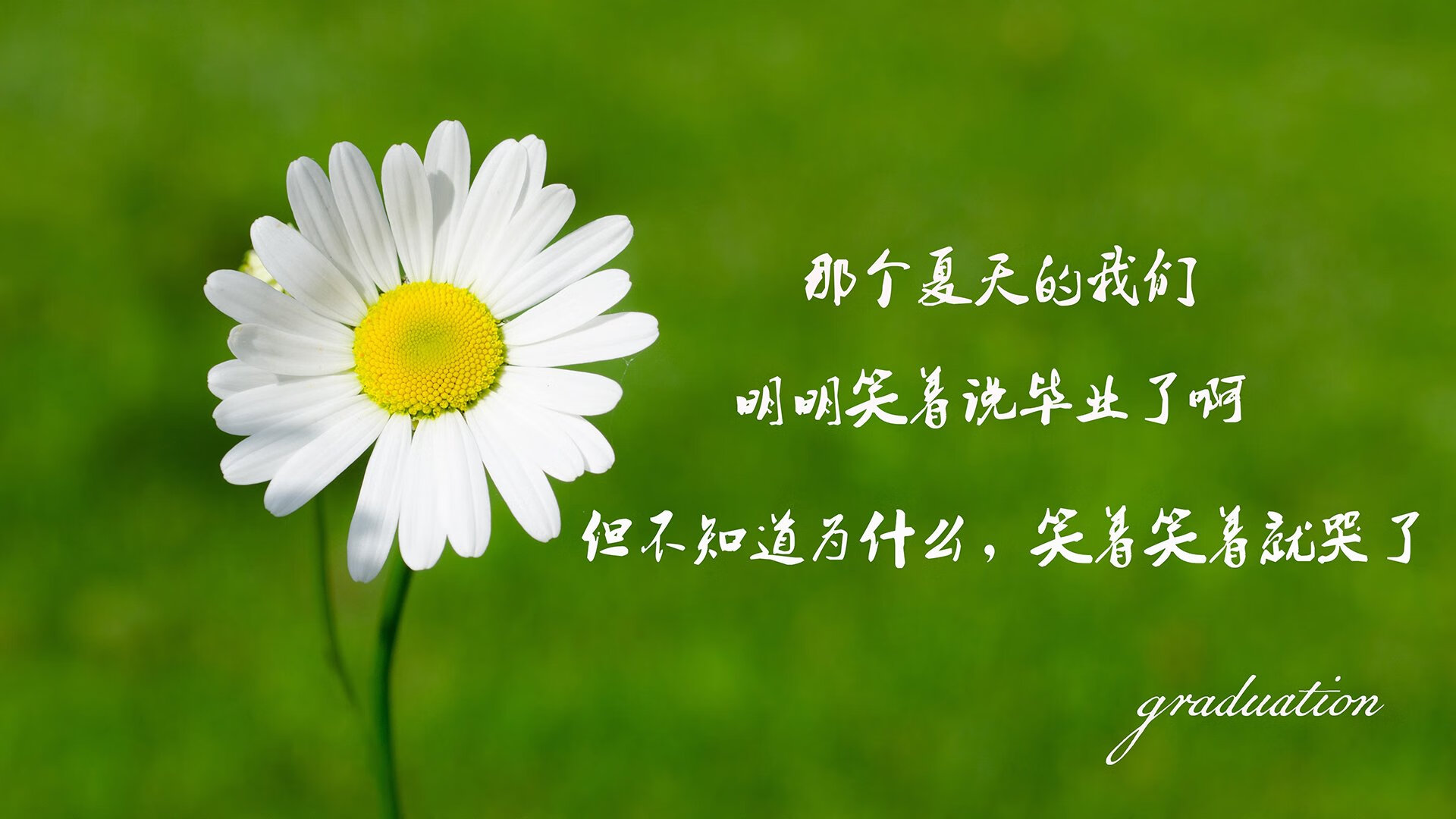 国际乒乓球公开赛，精彩对决引发热议，国际乒联乒乓球公开赛