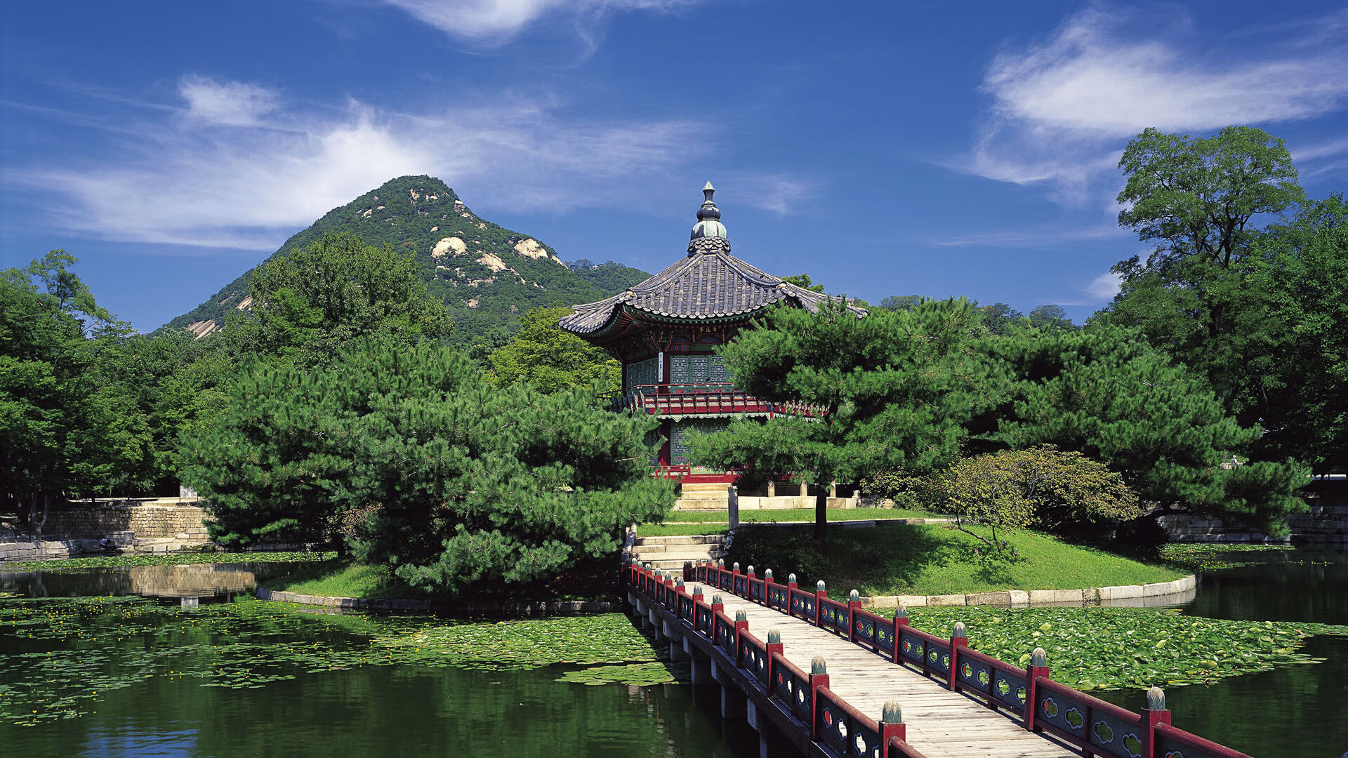 伊朗骑手卡尔·阿里·阿尔达比在巴黎奥运会上与“Porthos Maestro WH Z”马匹携手参赛，表现出色。