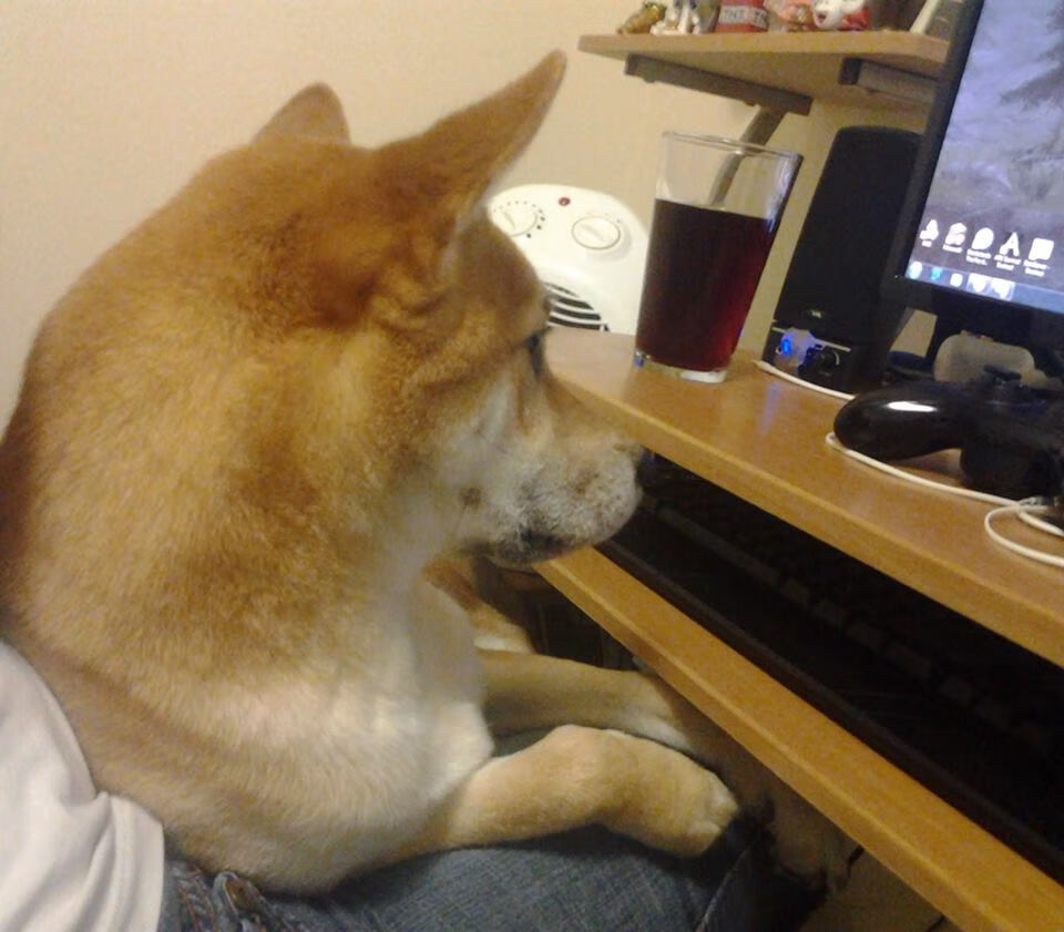 熊猫体育娱乐-热刺与水晶宫进行角逐，争夺胜利，热刺对水晶宫视频