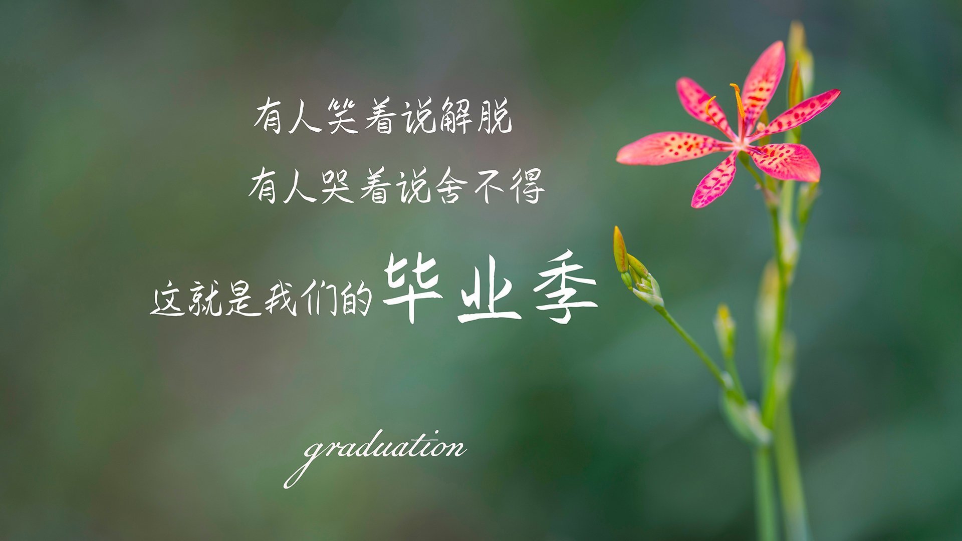 热刺与水晶宫进行角逐，争夺胜利，热刺对水晶宫首发