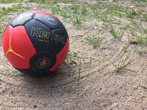 熊猫体育app下载-中国篮球推动青少年比赛规则标准统一促进公平竞争，篮球青少年联赛