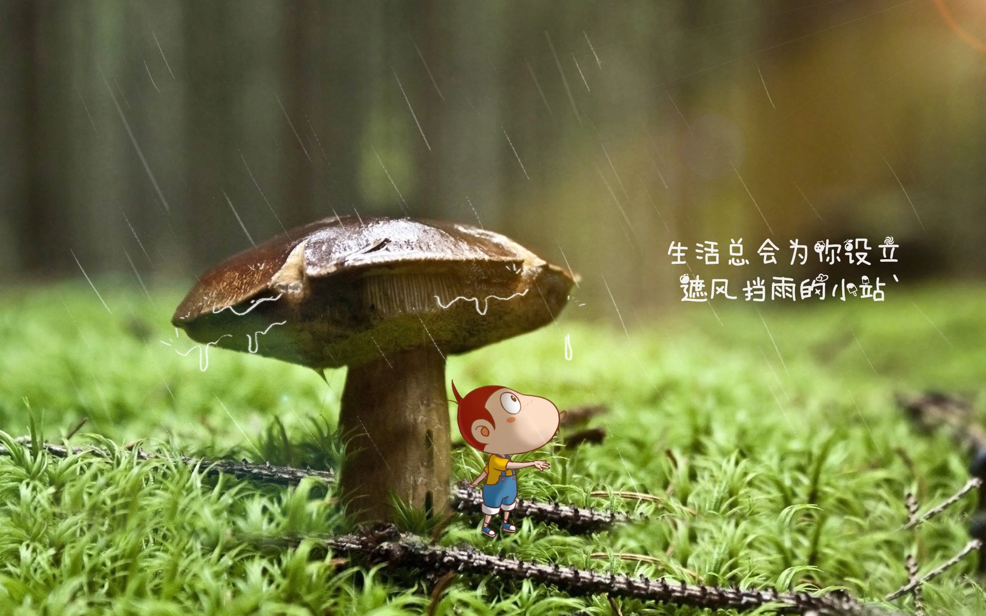 熊猫体育app官网-全黑队精准传球与快速反击，成橄榄球冠军赛中的杀手锏，橄榄球黑人教练